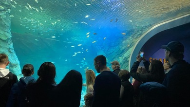 Acuario de St.Louis en Union Station • Foto J.Klein 2019 ©