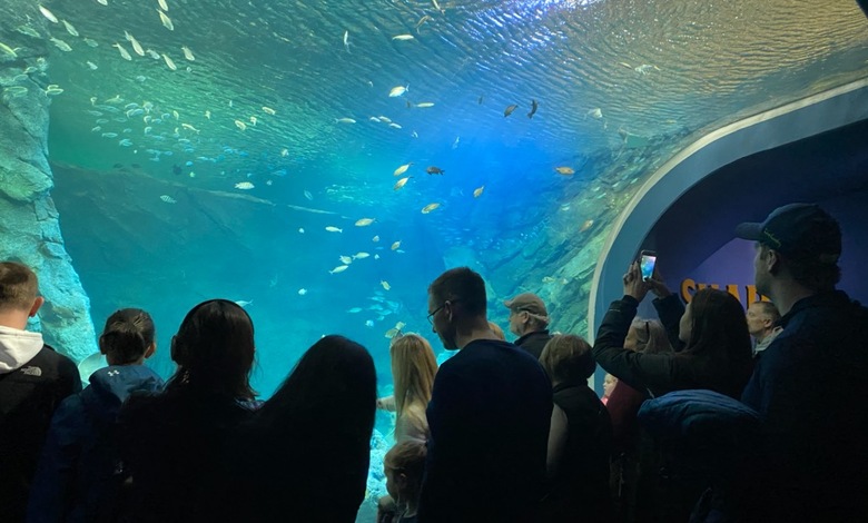 Acuario de St.Louis en Union Station • Foto J.Klein 2019 ©