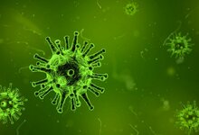 Emergencia Mundial de Salud • Cornavirus