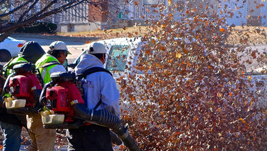Sopladoras de Hojas • Prohibición en Illinois