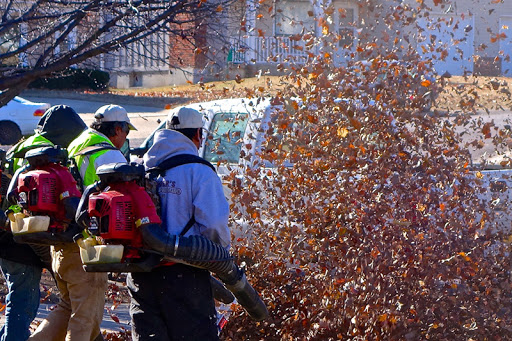 Sopladoras de Hojas • Prohibición en Illinois