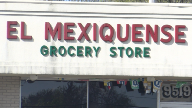 El Mexiquense -