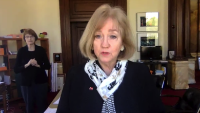Lyda Krewson entrega su rueda de prensa virtual por Facebook el 15 de Abril, 2020