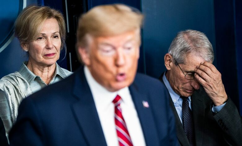 Drs. Deborah Birx and Anthony Fauci listen to President Donald Trump during a Coronavirus Task Force briefing. (Jabin Botsford / The Washington Post via Getty Images)