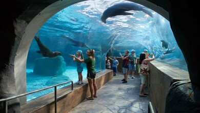 Zoológico de St.Louis