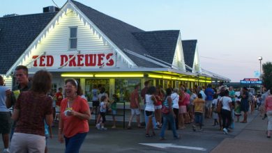 Ted Drewes