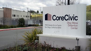 Casi 1.000 empleados en centros de detención de inmigrantes de EE.UU. dan positivo por COVID-19 29