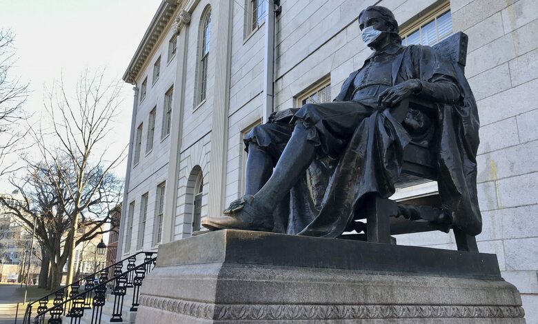 Harvard dará la bienvenida en otoño a una parte de sus estudiantes 1