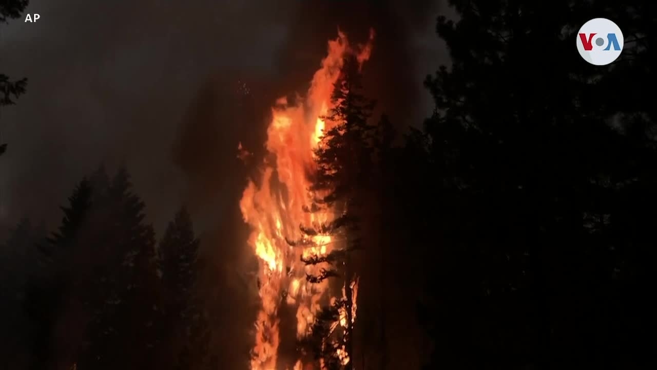 ¿Cómo los grandes incendios forestales han evolucionado a causa del cambio climático? 1