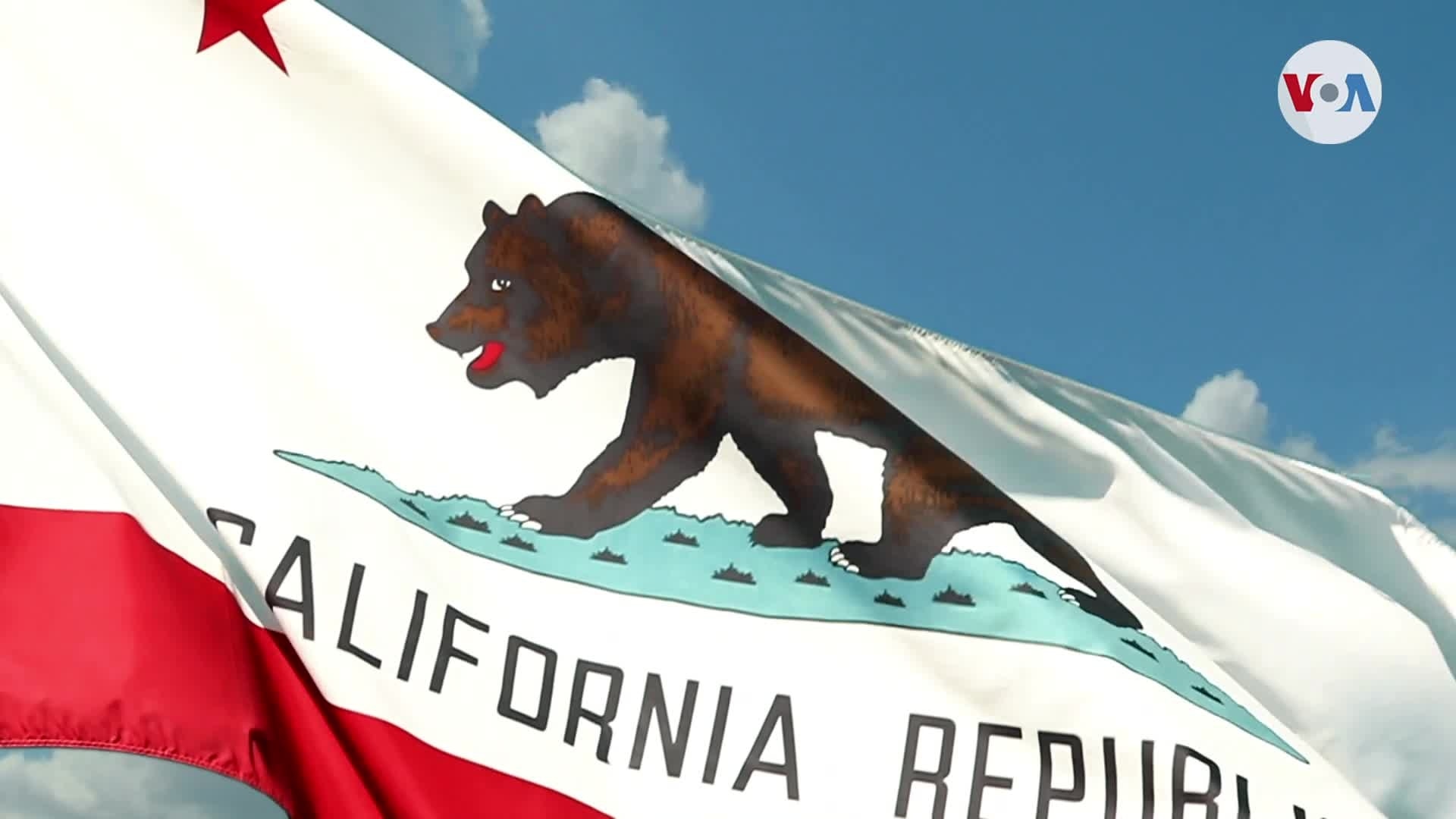 Dos iniciativas en California evalúan reparaciones a descendientes de esclavos 1