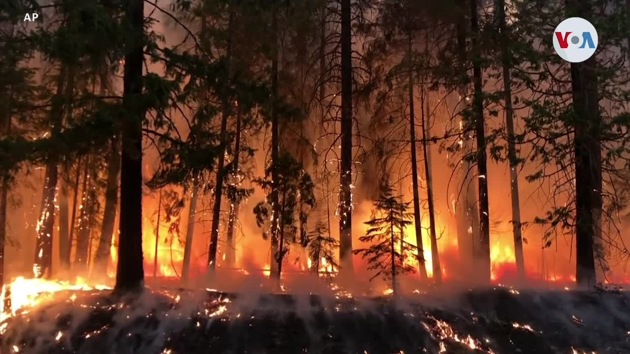 Expansión de incendios forestales en California obliga evacuación de miles de personas 1