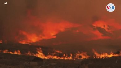 Incendio que amenaza al lago Tahoe recibe declaración de emergencia presidencial 37