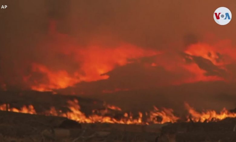 Incendio que amenaza al lago Tahoe recibe declaración de emergencia presidencial 1