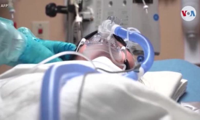 Instan a vacunarse también contra la influenza en EE. UU. 1