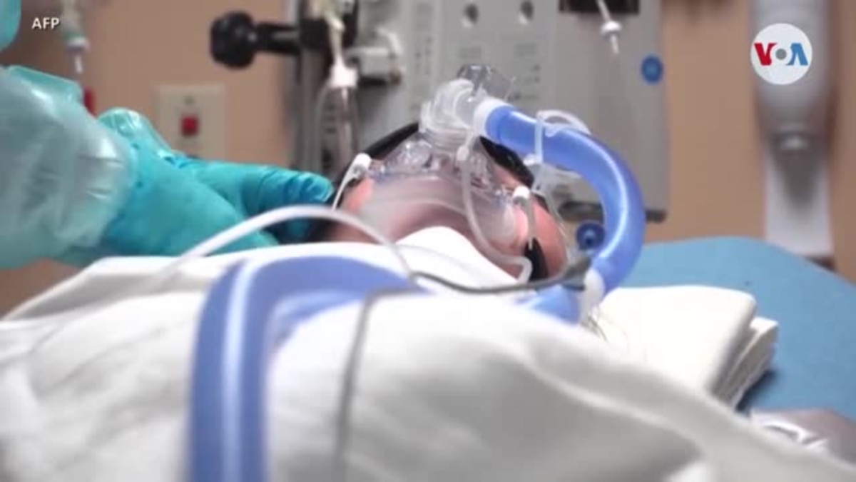 Instan a vacunarse también contra la influenza en EE. UU. 2