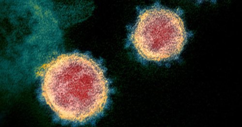 Nueva Variante "OMICRON" preocupa y levanta la alarma mundial 1