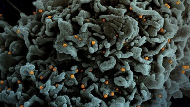 Panorama preocupante ante la llegada de Omicron en Missouri 15