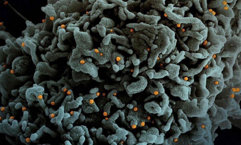 Panorama preocupante ante la llegada de Omicron en Missouri 1