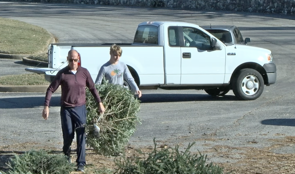 Ayuntamiento de la Ciudad de St. Louis comienza programa para reciclar árboles de navidad naturales 1