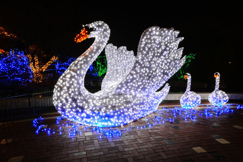 Actividades Navideñas en St. Louis que puedes disfrutar al aire libre esta semana 2