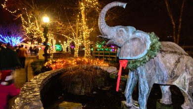 Actividades Navideñas en St. Louis que puedes disfrutar al aire libre esta semana 43