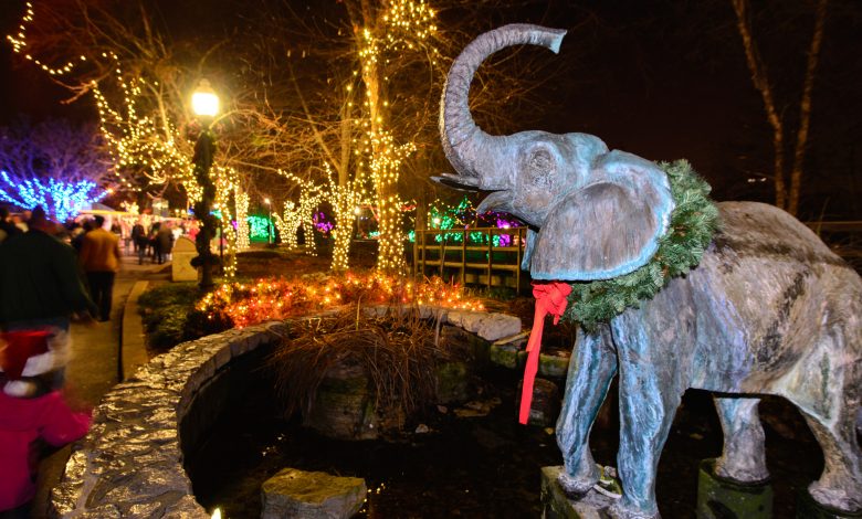 Actividades Navideñas en St. Louis que puedes disfrutar al aire libre esta semana 1