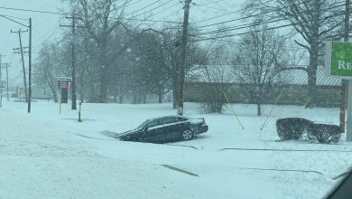 ALERTA CLIMÁTICA - Negocios y Escuelas permanecerán cerradas el viernes 3