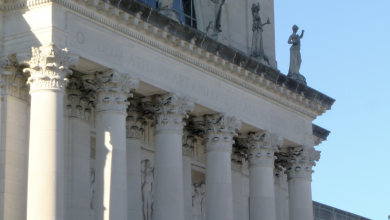 Centros culturales de St. Louis reabren sus puertas tras dos semanas de cierre por COVID-19 27