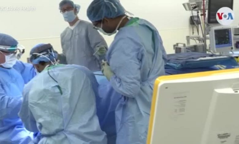 Programa piloto busca mejorar acceso a trasplante de órganos para latinos en EEUU 1