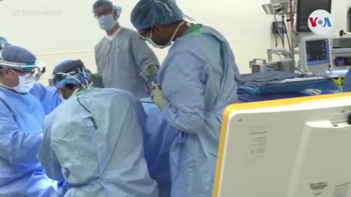 Programa piloto busca mejorar acceso a trasplante de órganos para latinos en EEUU 2