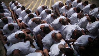 EEUU presiona a El Salvador por extradición de líderes Mara Salvatrucha 70