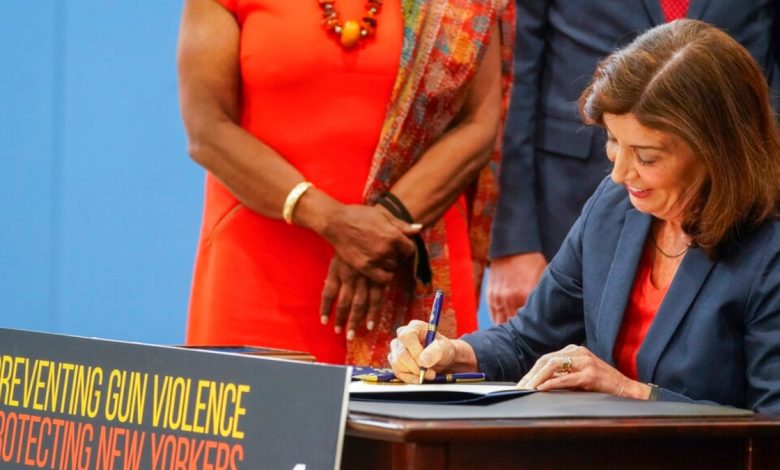 Los estados promulgan nuevas leyes sobre armas 1