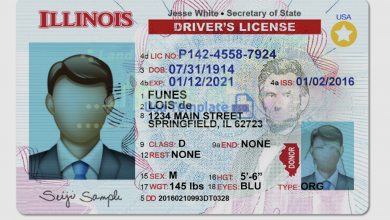 Illinois extiende las renovaciones de sus licencias de manejo e identidades