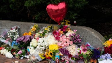 Recaudación para un niño huérfano por el tiroteo del desfile del 4 de Julio alcanza los 2,5 millones de dólares 31