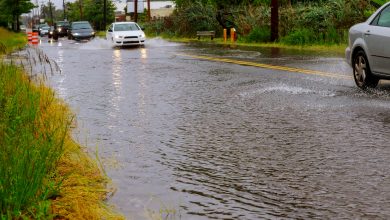 ALERTA CLIMÁTICA: Tormentas Severas se Aproximan al Área de St. Louis Esta Noche 1