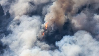 INcendios forestales en Canadá están teniendo un efecto devastador en la calidad de aire del planeta. Especialmente en el medio oeste o este de los Estados Unidos.