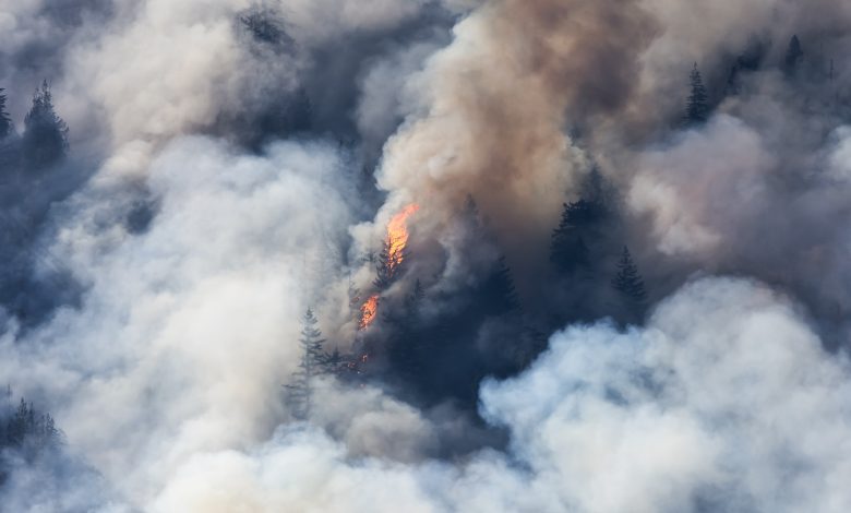 INcendios forestales en Canadá están teniendo un efecto devastador en la calidad de aire del planeta. Especialmente en el medio oeste o este de los Estados Unidos.