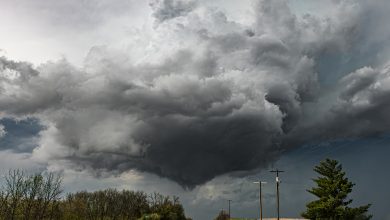 Ola de calor y tormentas severas afectan la región de St. Louis: Una guía completa 1