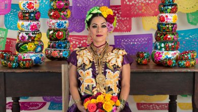 Lila Downs en St. Louis: Una Voz que Trasciende Fronteras 9