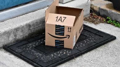 PIRATAS DE PAQUETES: Aumenta la actividad del robo de paquetes durante esta temporada navideña en St. Louis 1