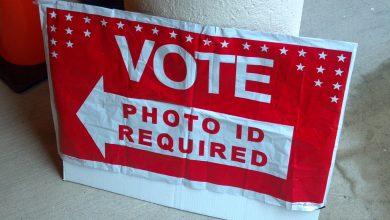 Tribunal de Missouri Deroga Restricciones Inconstitucionales que Criminalizaban el Compromiso Cívico Electoral 3