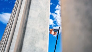 Organizaciones Pro-inmigración Detallan Plan de Acción ante Posibles Deportaciones 8