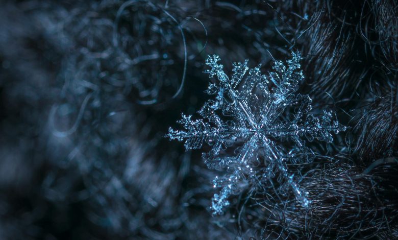 macro photography of snowflake