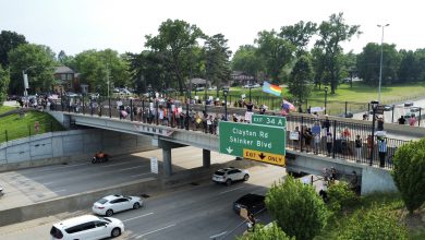 Manifestantes de St. Louis se Unen a Protestas Nacionales Contra Redadas Migratorias 1