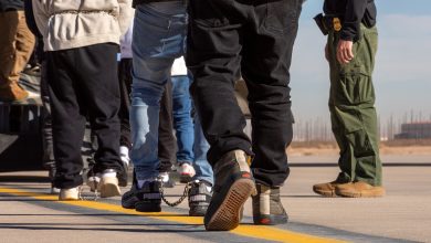 Deportaciones de Trump Alcanzan Cifras Históricas: 96.7% de Deportados son Latinos 4