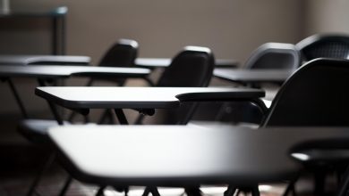 El Temor Se Apodera de las Aulas: Familias Indocumentadas Enfrentan Dilemas ante el Regreso a Clases 2