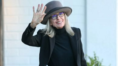 Muere Diane Keaton, ícono de Hollywood y ganadora del Oscar, a los 79 años 5