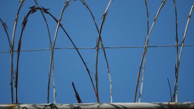 Líderes de Kansas City rechazan propuesta de mega centro de detención de ICE 10