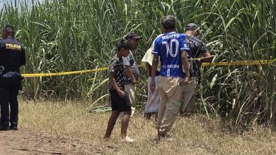 Pareja deportada desde St. Louis es hallada asesinada en Guatemala; su bebé y dos otras hijas sobreviven 11